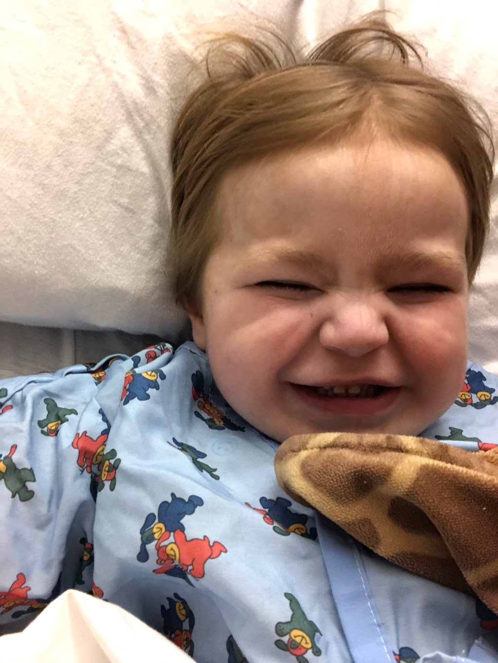 a squish is born (part&nbsp;three)